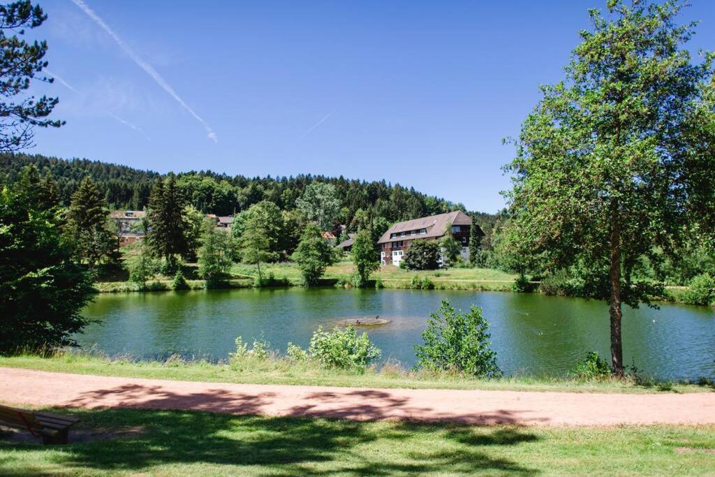 Ferienwohnung "Am Skilift" Herrischried Exterior foto