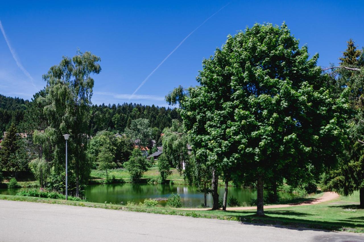 Ferienwohnung "Am Skilift" Herrischried Exterior foto