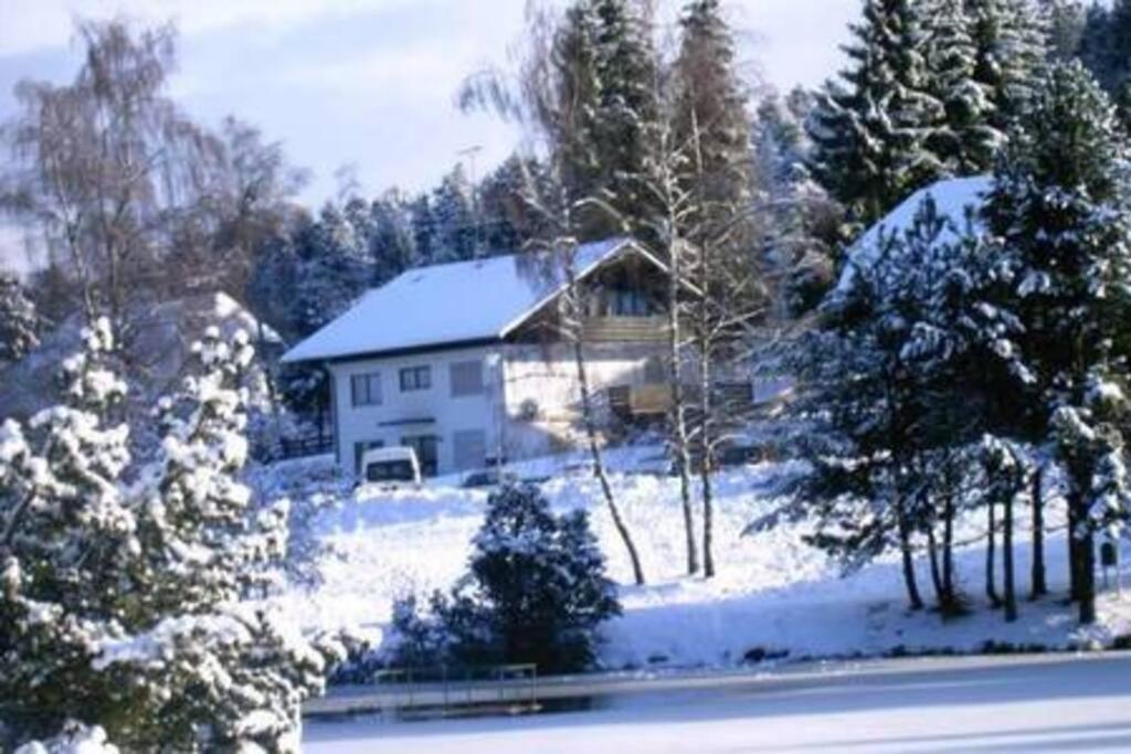 Ferienwohnung "Am Skilift" Herrischried Exterior foto