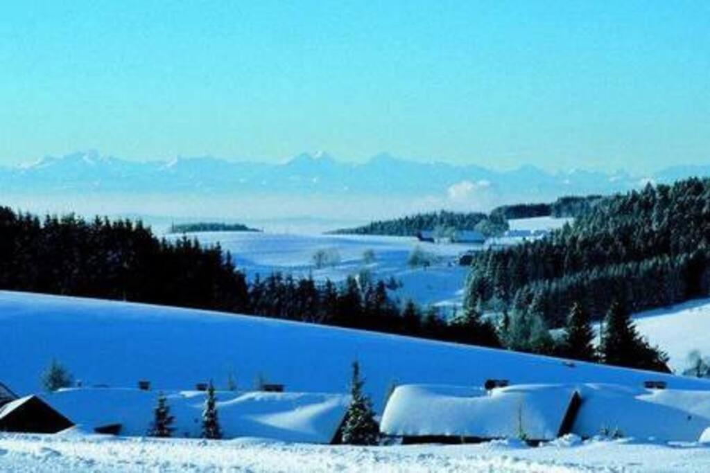 Ferienwohnung "Am Skilift" Herrischried Exterior foto